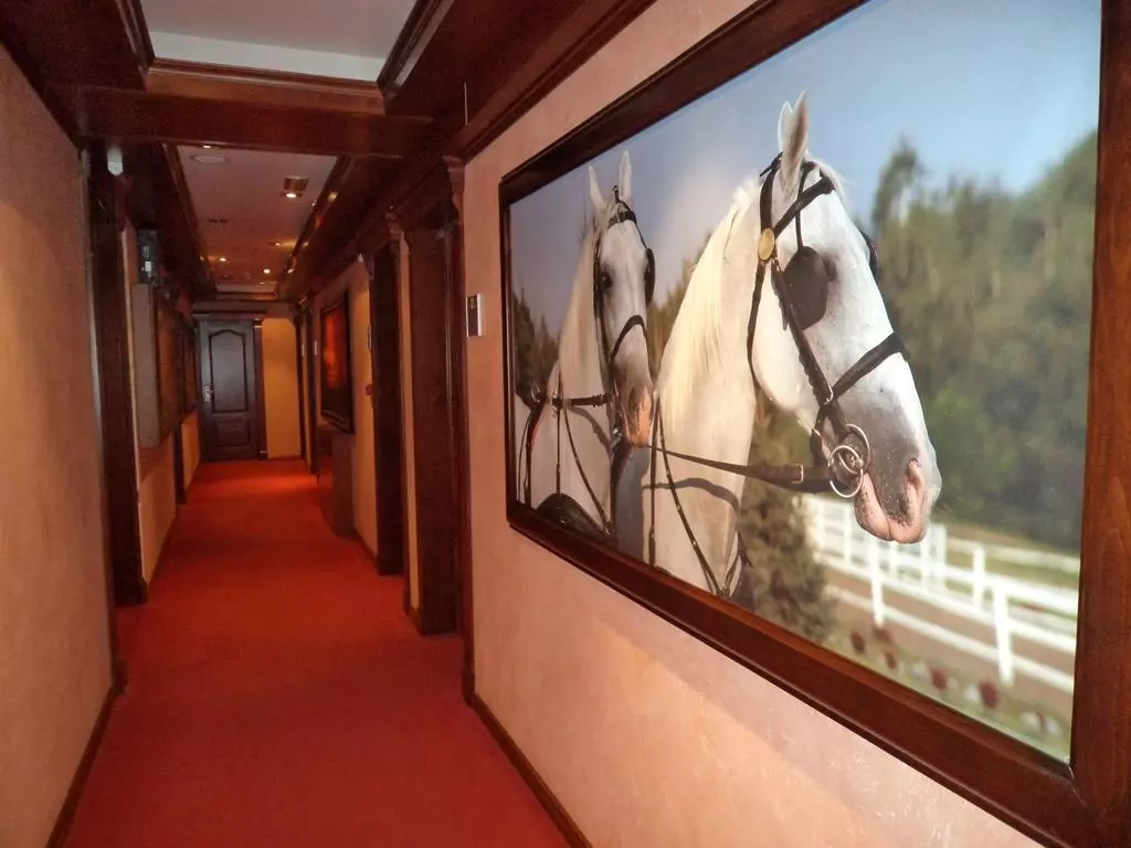 hotel_panorama city inn_novi_sad_shabavizparvaz_13.jpg